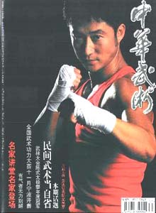 中華武術(shù)雜志