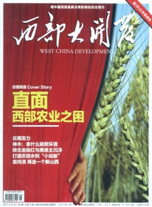 西部大開發(fā)雜志