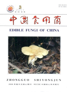 中國食用菌雜志