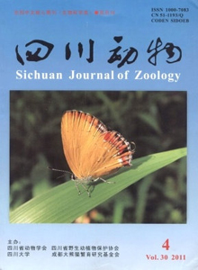 四川動(dòng)物雜志