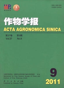 作物學報
