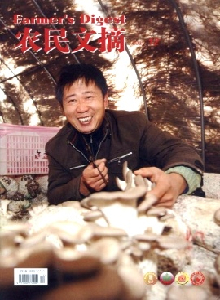 農(nóng)民文摘雜志