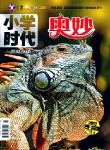 小學(xué)時代雜志