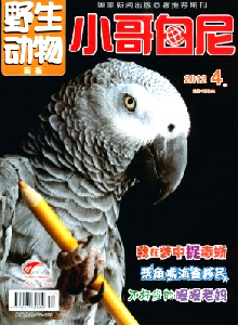 小哥白尼·野生動物畫報