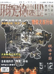 環(huán)球寵物科技雜志