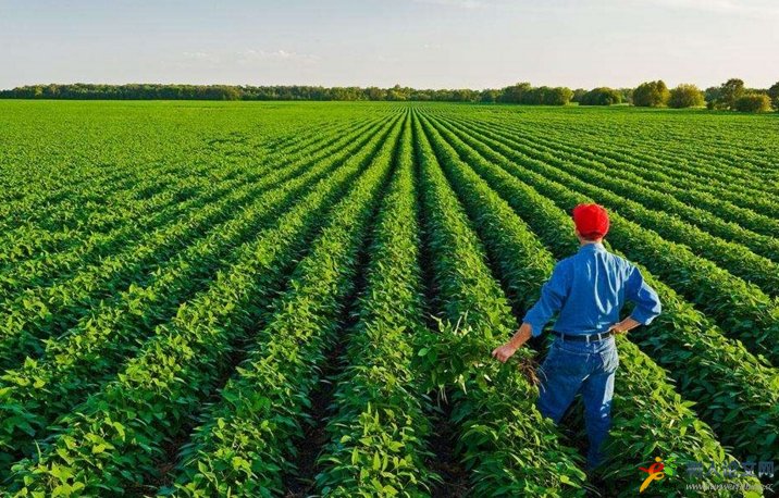 農(nóng)業(yè)課題如何申報(bào)