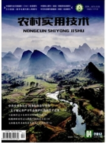 農(nóng)村實用技術(shù)