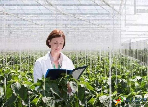 評審高級農(nóng)藝師需要什么專利