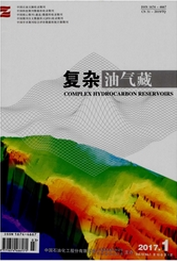 復(fù)雜油氣藏
