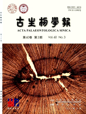 基于兩級分段式算法的卷積神經(jīng)網(wǎng)絡的浮游有孔蟲自動鑒定