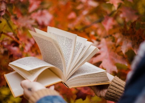 論文外審多久出結果