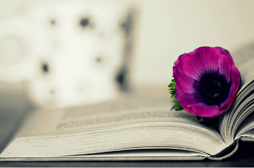 中級會計師評審條件是什么