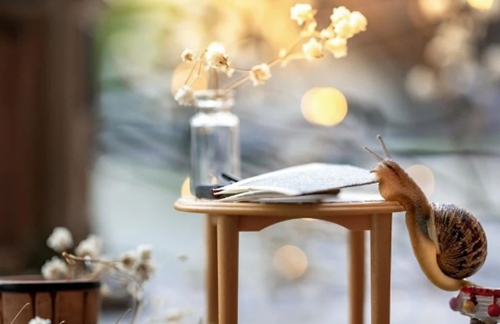 正高級(jí)職稱申報(bào)條件怎么找