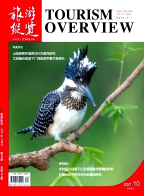 研究地方文化和旅游發展的論文文獻