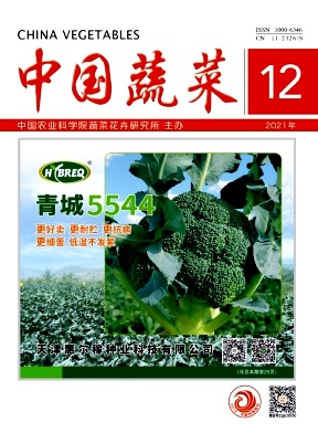 貴州六盤水地區大白菜黑斑病病原菌鑒定及培養特性研究