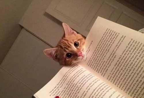 技術(shù)能申請專利嗎