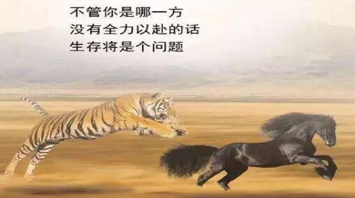 低碳經(jīng)濟(jì)論文