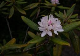 海洋科學論文文獻