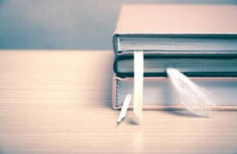 國際獨著有書號嗎