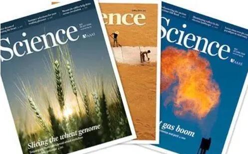 sci論文盲審是真的嗎