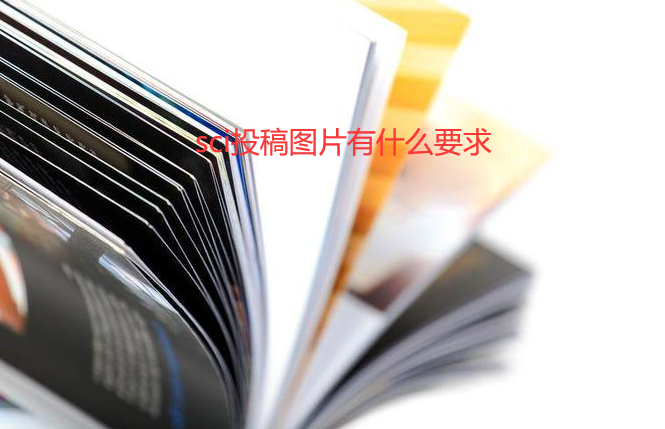 sci投稿圖片有什么要求