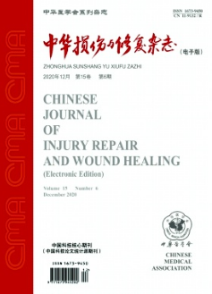 中華損傷與修復(fù)雜志統(tǒng)計源期刊征