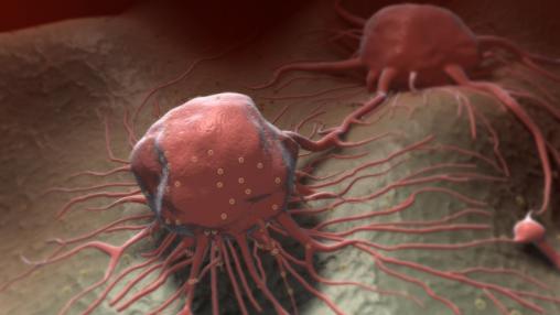 醫(yī)學(xué)&nbsp;論文&nbsp;期刊