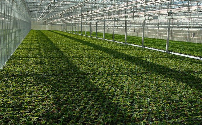 樹人論文發表網