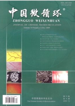 中國微循環