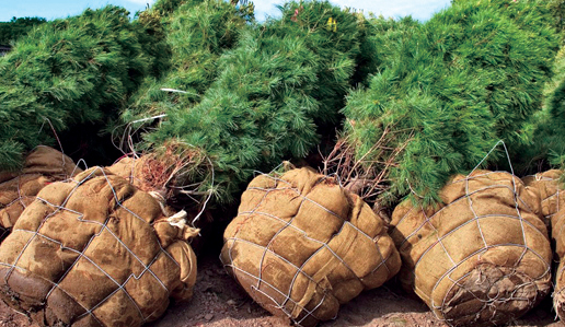 經濟管理論文發表