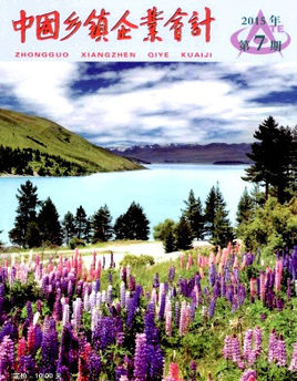 中國鄉(xiāng)鎮(zhèn)企業(yè)會計國家級財務審計類論文發(fā)表期刊