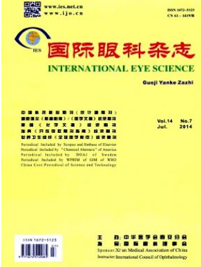 國際眼科雜志