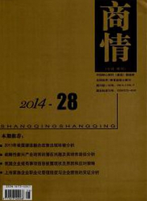 高級(jí)審計(jì)師論文