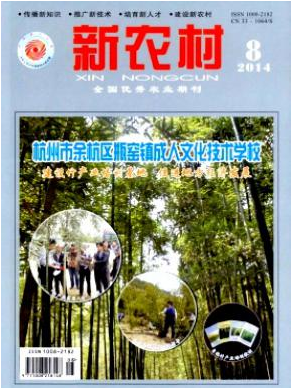 新農(nóng)村