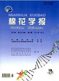 棉花學報