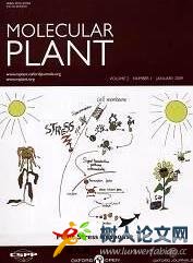 分子植物