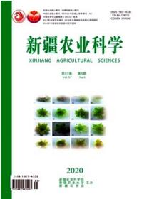 新疆農(nóng)業(yè)科學(xué)