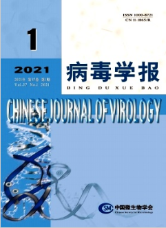 病毒學(xué)報雜志核心期刊征稿