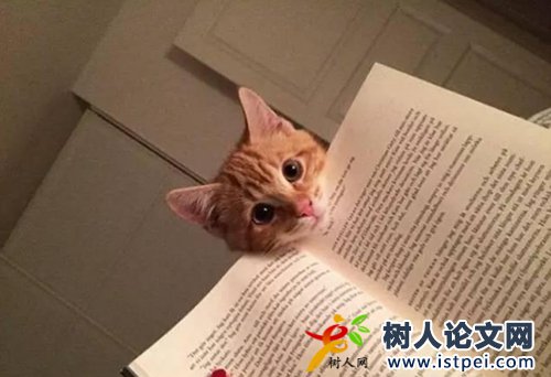 露天采礦技術(shù)適合評什么級別職稱